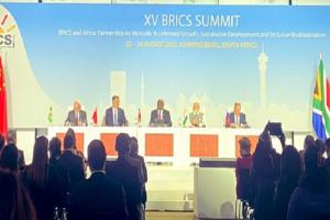 BRICS Summit 2023: ब्रिक्स में इन 6 अरब देशों की एंट्री, जानिए पीएम मोदी क्या बोले?