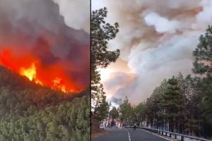 स्पेन के जंगल में लगी आग, 12,813 हेक्टेयर से अधिक भूमि प्रभावित 