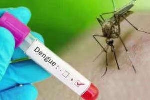 बरेली: डेंगू मरीजों की सूचना न देने वाले निजी अस्पतालों पर होगी कार्रवाई