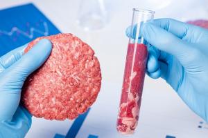 प्रयोगशाला में बने मांस को क्यों करना पड़ रहा है चुनौतियों का सामना? जानें आठ अहम सवाल