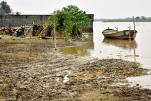 मुरादाबाद: रामगंगा नदी का जलस्तर कम, मुश्किलें बरकरार...खेतों में फसल जलमग्न 