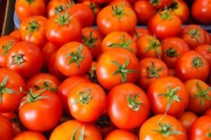 Tomato Import : नेपाल भारत को टमाटर निर्यात करने को तैयार, बाजार तक आसान पहुंच की जताई इच्छा 