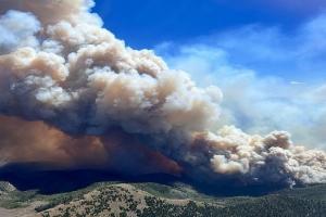 America: हवाई राज्य के माउई जंगलों में लगी आग, 90 से ज्यादा लोगों की मौत