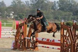 Asian Games : फंड की कमी से ट्रेनिंग रुकी, घुड़सवारों ने मदद के लिए ईएफआई और सरकार से किया संपर्क