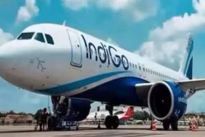 ठप खड़े विमानों को परिचालन में लाने के लिए कदम उठा रही इंडिगो: सीईओ 