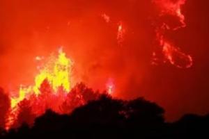 फ्रांस के जंगल में लगी आग, 3000 लोगों को निकाला गया 