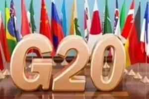 जी-20 सम्मेलन के बीच डायल ने कहा- दिल्ली हवाई अड्डे पर विमानों के लिए पर्याप्त जगह 