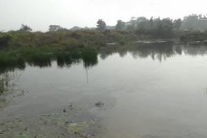 बस्ती: कुआनो नदी में कलश विसर्जन करने गये मामा-भांजे डूबे, तलाश में जुटे गोताखोर