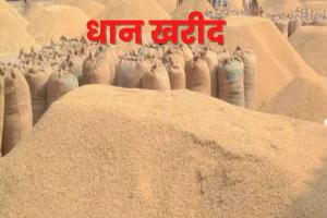 रुद्रपुर: आरएफसी विभाग ने धान खरीद को लेकर की तैयारी शुरू