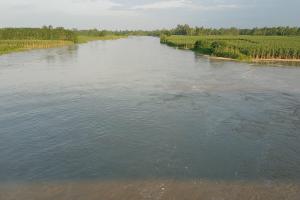 बरेली: लगातार बारिश से उफनाई नदियों ने शुरू की तबाही, किसानों की फसलें नदी में समाईं