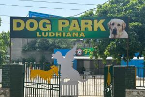 पंजाब के लुधियाना में कुत्तों के लिए उत्तर भारत का पहला पार्क खुला 