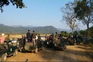 रामनगर: परमिट शुल्क में वृद्धि से भड़के कार्बेट के जिप्सी चालक
