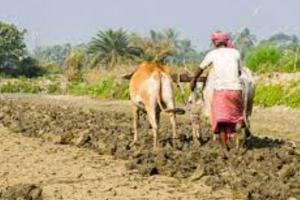 बरेली: जिले में 28 हजार किसान बनेंगे समितियों के सदस्य, लक्ष्य निर्धारित
