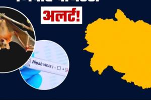 केरल: निपाह वायरस के मामले सामने आने पर कर्नाटक सरकार ने किये दिशानिर्देश जारी 