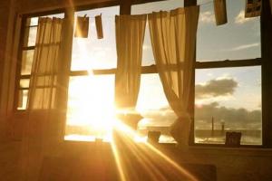 गर्म दिनों में 87 प्रतिशत तक खिड़कियों के माध्यम से आती है गर्मी, जानिए क्या कहती है नई रिपोर्ट 