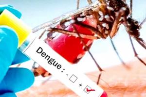 रामपुर: जिले में नहीं थम रहा डेंगू का कहर, बढ़ती जा रही मरीजों की संख्या... फिर मिले 10 नए केस