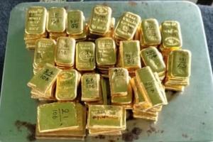 बांग्लादेश की सीमा के पास 8.5 करोड़ रुपये के सोने के बिस्कुट बरामद, दो तस्कर गिरफ्तार 
