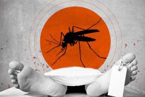 Breaking News: हल्द्वानी में डेंगू से महिला की मौत, मचा हड़कंप