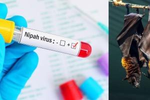 निपाह वायरस: केरल सरकार ने किए वायरस के प्रसार को रोकने के लिए कड़े उपाय