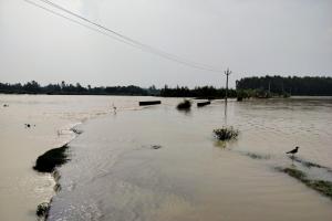 शाहजहांपुर: रामगंगा नदी की बाढ़ से गांवों में भरा पानी, 10 हजार लोग प्रभावित