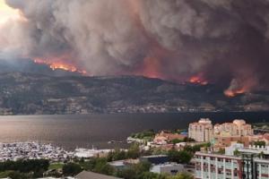 कैलिफ़ोर्निया के माउई द्वीप के जंगल में आग, 66 लोग लापता... 115 लोगों ने गवाई जान 