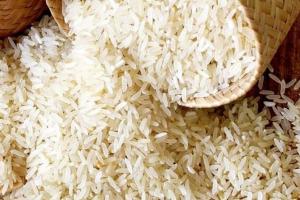 बरेली: योजना 11 महीने पहले बंद हो गई, अब आई चावल बांटने की याद