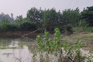 बरेली: रामगंगा और किला नदी में बह गए बिजली के पोल, सुभाषनगर-मढ़ीनाथ समेत तमाम गांवों में संकट