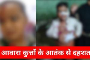सीतापुर: आवारा कुत्तों के काटने से 6 मासूमों सहित 12 लोग जख्मी