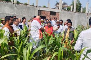 श्रीअन्न की खेती को बढ़ावा देने निकले कृषि मंत्री, किसानों से किया संवाद