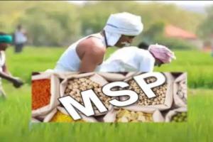 बरेली: गेहूं की MSP में 150 रुपये की बढ़ोत्तरी किसानों के लिए नाकाफी, बोले- जिस तरह बढ़ी महंगाई, उस हिसाब से कम