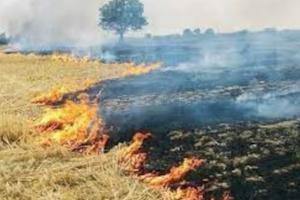 बरेली: सेटेलाइट से किसानों पर नजर, पराली जलाई तो होगी कार्रवाई
