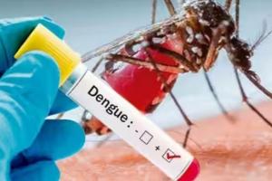 रामपुर: जिले में बेकाबू हुआ डेंगू, मसवासी में एक और मौत