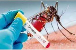 यूपी में नहीं थम रहा डेंगू का प्रकोप, तमाम जिले अतिसंवेदनशील घोषित
