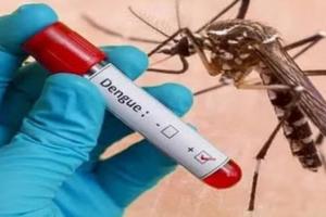 Dengue News: डेंगू को हल्के में न लें... लापरवाही घातक पड़ सकती है, इस स्ट्रेन का संक्रमण सबसे ज्यादा हावी