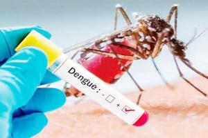 प्रयागराज: डेंगू के 26 मरीजों तक नहीं पहुंच सकी स्वास्थ्य विभाग की टीम, 200 के पार पहुंची संख्या