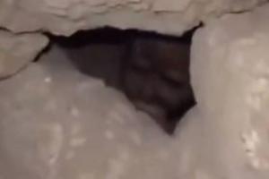 VIRAL VIDEO: पत्थरों के नीचे दिखा अजीबोगरीब जीव, देखते ही देखते हुआ गायब, वीडियो देख सिहर उठेंगे आप 