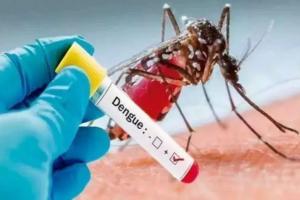बरेली: 11 और मरीजों में डेंगू की पुष्टि, अब तक डेंगू के 977 मरीज आ चुके हैं सामने 