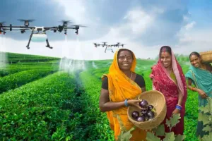 मंत्रिमंडल ने 15,000 महिला एसएचजी को ड्रोन उपलब्ध कराने की दी मंजूरी 
