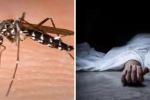 अमरोहा: बुखार से बच्चे समेत दो की मौत, मिले डेंगू के 13 मरीज 