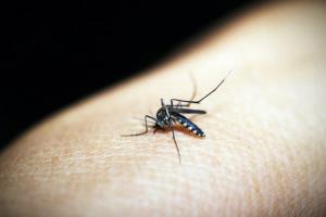 बरेली: स्वास्थ्य मेलों में भी बुखार के मरीजों की भरमार, ज्यादातर में डेंगू के लक्षण