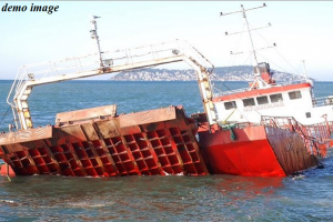 भीषण तूफान के बाद काला सागर में डूबा तुर्किश जहाज, एक कर्मी की मौत...11 लापता 