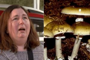 Mushroom Poisoning: ऑस्ट्रेलिया में मशरूम खाने से तीन की मौत, एक महिला गिरफ्तार...जानिए पूरा मामला 