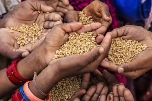 PMGKAY के तहत 81.35 करोड़ गरीबों को मुफ्त खाद्यान्न वितरण बढ़ाया गया पांच साल 