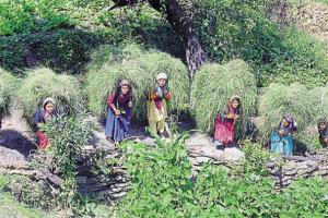 हल्द्वानी: हिमालयी राज्यों में देवभूमि की महिलाओं की स्थिति दोयम