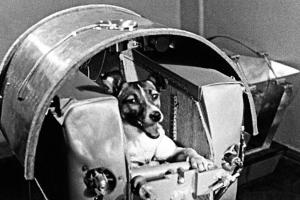 तीन नवंबर का इतिहास: आज के दिन ही सोवियत संघ ने पहले जीवित प्राणी को अंतरिक्ष में भेजा 
