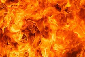 छत्तीसगढ़: IAS अधिकारी के घर पर इलेक्ट्रिक कार चार्ज करने के दौरान लगी आग, दो चार पहिया वाहन जले 