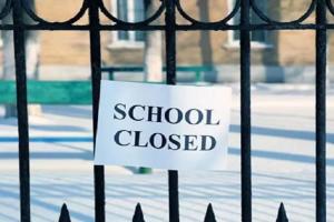 भीमताल: बाघ के आतंक से धारी और भीमताल के विद्यालय बंद 