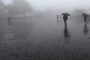 UP Weather news : तीन दिन तक हल्की बारिश के आसार, बढ़ेगी ठंड          