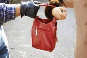 रुद्रपुर: फिर सक्रिय हुआ झपटमार गैंग...महिला का पर्स छीना, दो आईफोन और 10 हजार ले उड़े