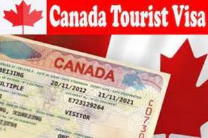 रुद्रपुर: कनाडा के Tourist Visa के नाम पर कबूतरबाजों ने बनाया शिकार